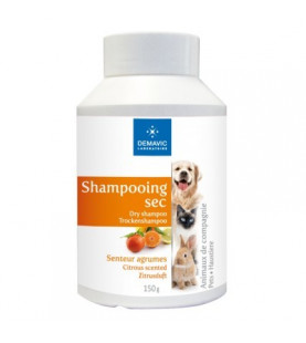 Shampooing sec- senteur agrumes