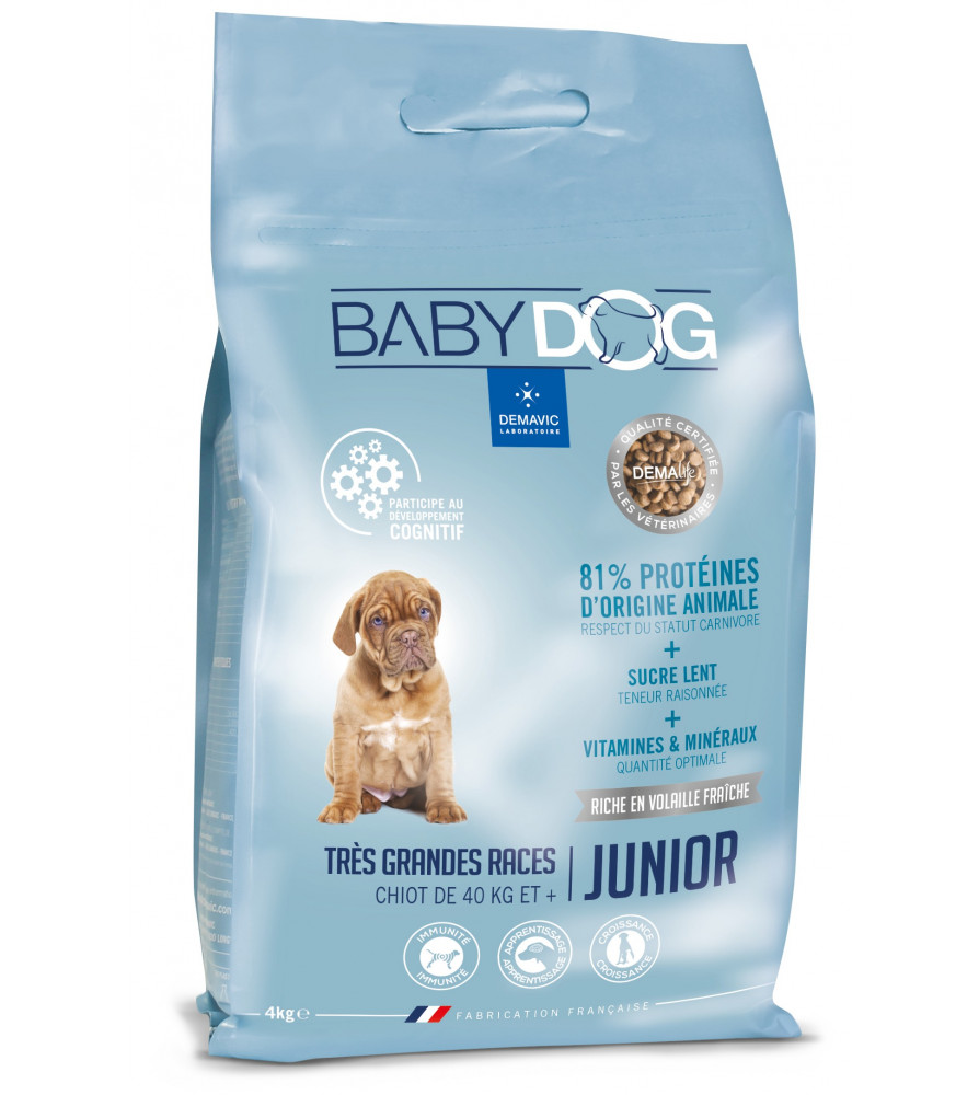BABYDOG CHIEN DE PLUS DE 40 KG