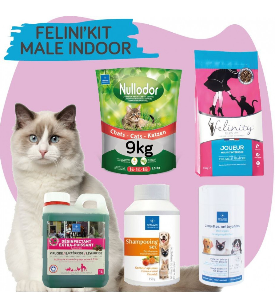 Felini’KIT Mâle d'intérieur