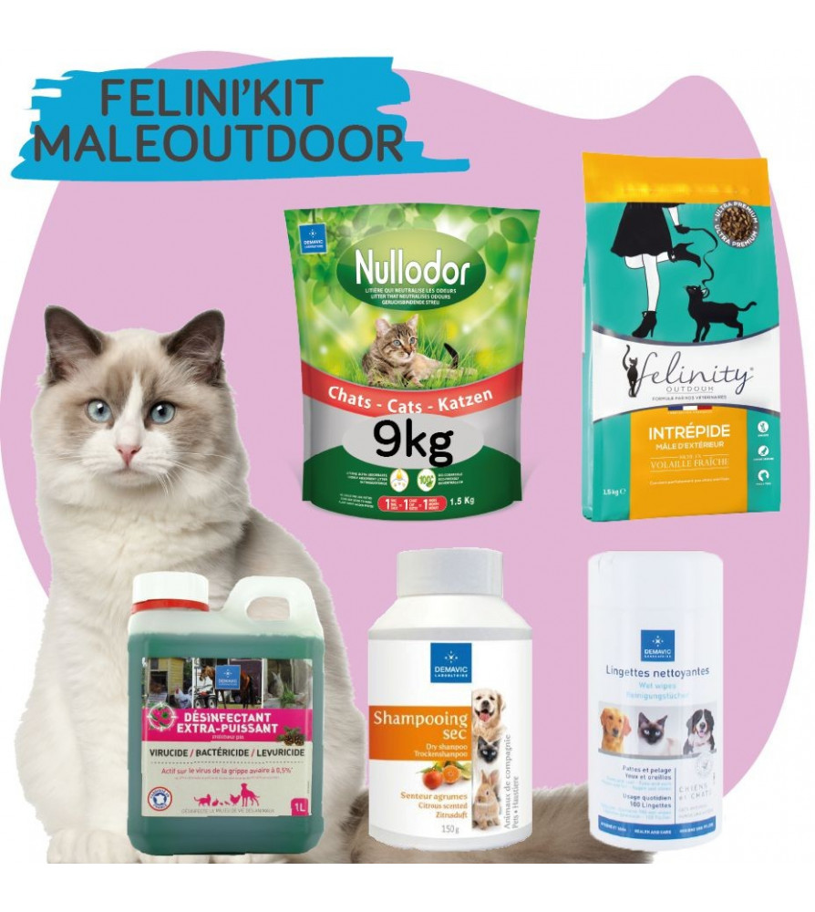 Felini’KIT Mâle d'extérieur