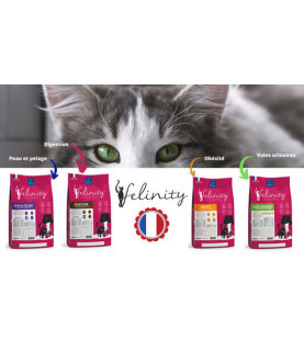 Croquette Chat Obésité Felinity Sac 3kg* / DEMAVIC