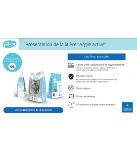 Pack 6 sacs Perlinette litière "Argile active" (10 Litres)