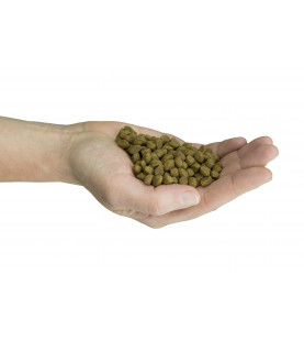 Felinity Outdoor croquettes pour femelle d'extérieur de 1,5 kg