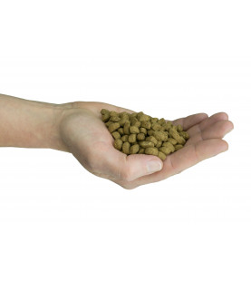 Felinity Indoor  croquettes pour femelle d'intérieur Sac de 1,5 kg