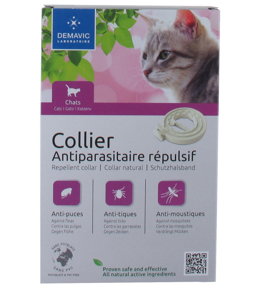 Collier insectifuge chats/chatons