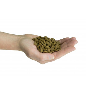 Felinity Outdoor croquettes pour mâle d'extérieur Sac de 1,5 kg