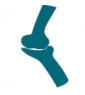 Articulations