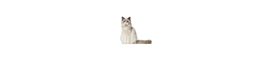 CHATS