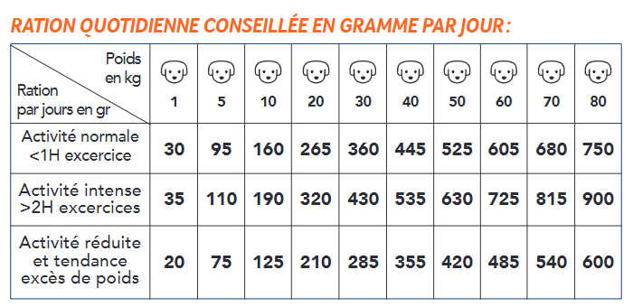 DOG ADULT Mobilité