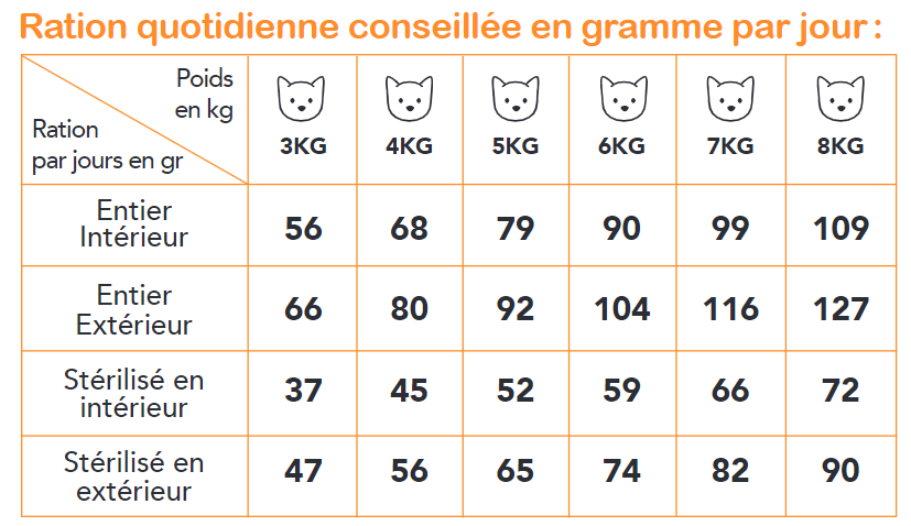 Dynamicats Obésité